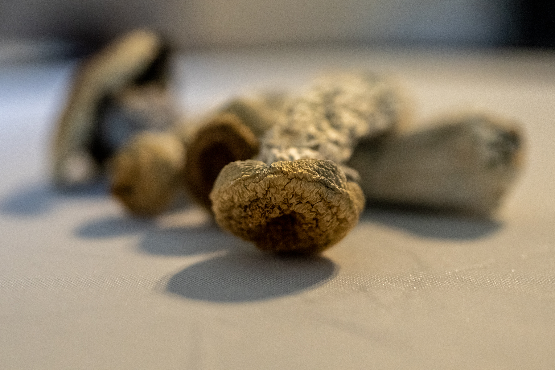 A DEEP DIVE INTO THE OPTIONS TO BUY SHROOMS ONLINE