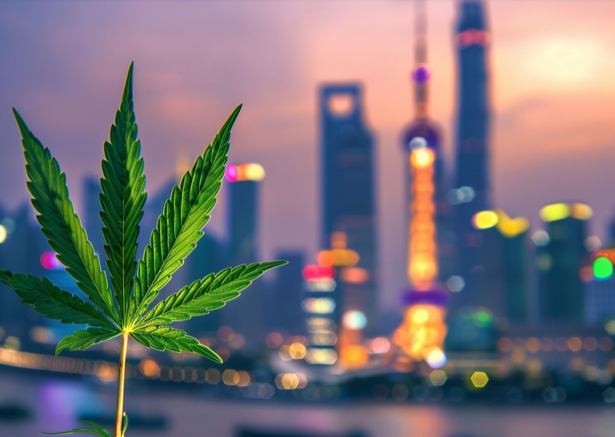 WHAT MAKES VANCOUVER A HUB FOR EFFICIENT WEED DELIVERY