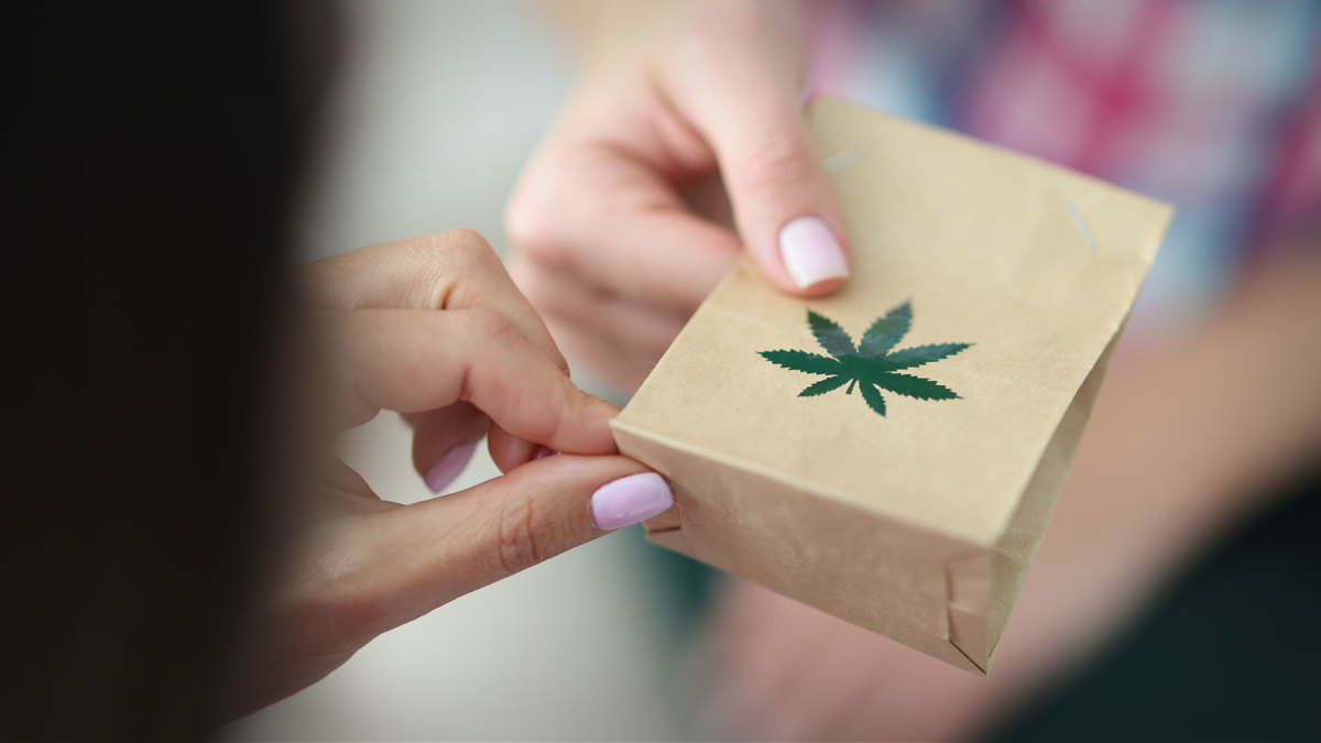 BRAMPTON WEED DELIVERY | WHAT MAKES THIS CITY SO SPECIAL