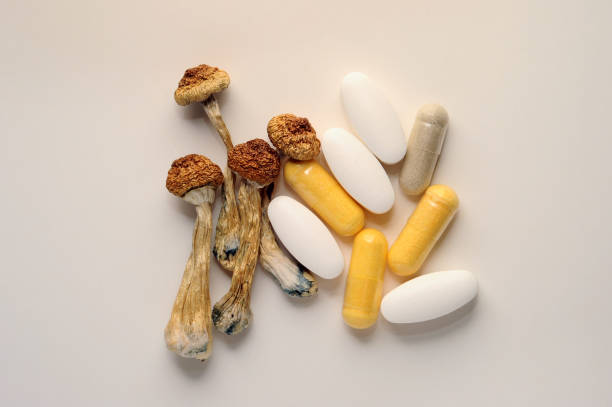 HOW MICRODOSING MAGIC MUSHROOMS CAN INFLUENCE CREATIVITY AND PROBLEM SOLVING